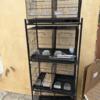 4 bird cages with stand