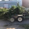 Hauling and removal services
