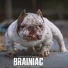 Micro bully pups