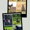 German Shepherd pups! AKC