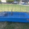 Guinea pig cage, accessories, food and bedding