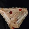 Used Womens Panties and Thongs