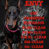 Doberman puppies coming soon