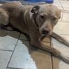 Free Lab 