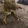 Project Save Athena