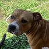 Molly