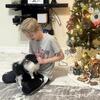 Teacup Pomeranian “special Christmas deal”