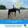 Horse therapy/Mashutherapy/Terapi Berkuda