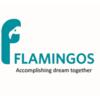 Flamingos Tech - Your Premier IT Solutions Partner