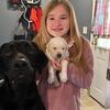 AKC REGISTERED FEMALE BLACK LAB