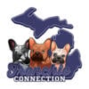 AKC FRENCH BULLDOG PUPPIES COMING SOON!