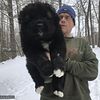 Made in the USA!  Esquire Caucasian Shepherds