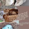 Scottish Fold kittens 