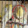 Frill Canaries 