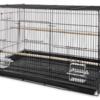 Rectangular You & Me Finch Cage for sale