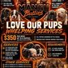 Whelping Services (Most Breeds)