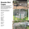 Bird Breeder cages - need gone!