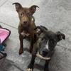  Brother and sister