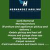 Junk removal