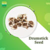 Drumstick Seed