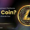 Crypto Investment Platforms: How Lizacoin Stands Out