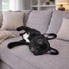 Toby - Lovely French Bulldog Puppy (Male)