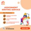 Online Assignment help Service