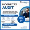 Professional Income Tax Audit Support for Individuals & Businesses in 2024!