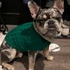 One-of-a-Kind Frenchie Stud in Atlanta