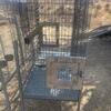 Breeding cages for sale