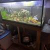 55 gal tank for sale