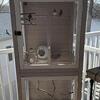 Large bird cage and 5 zebra finches