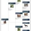 High quality Belgian malinois