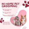 In home mobile dog grooming