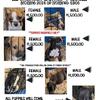 American Bullies 4 Sale!!
