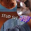 American Bully Stud srv